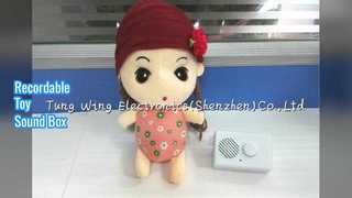 Peluş Oyuncaklar İçin Kaydedilebilir Ses Kutusu