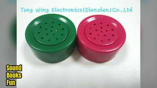 Ses Modülü Çocuk Kitapları Eğitici Oyuncak